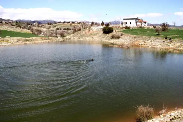 Çekmeyi unuttuğu el freni, eşinin hayatına mal oldu