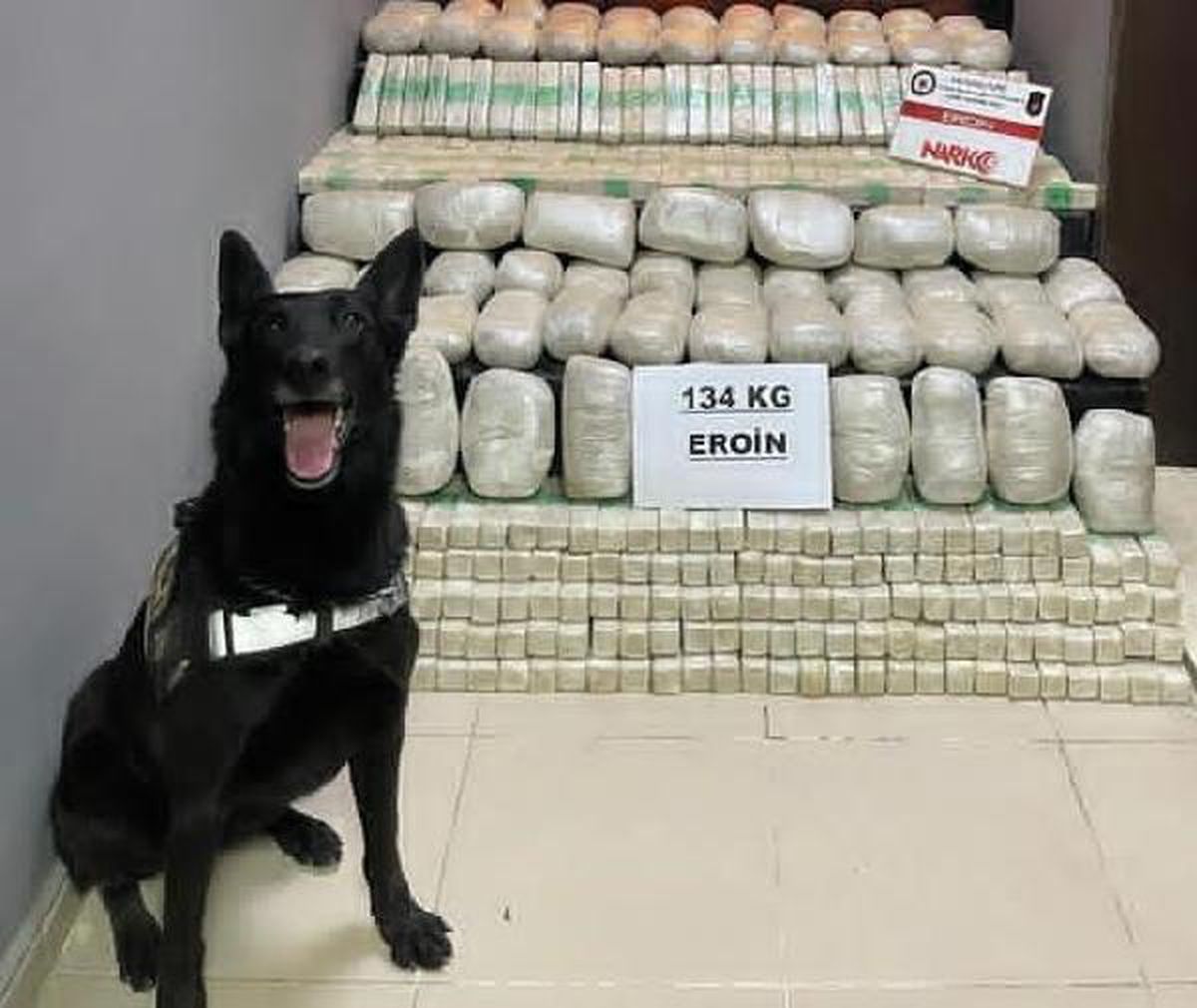 Yüksekova\'da 31 kilo eroine 3 gözaltı
