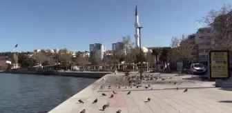 ÇANAKKALE - Sokağa çıkma kısıtlamasına riayet ediliyor