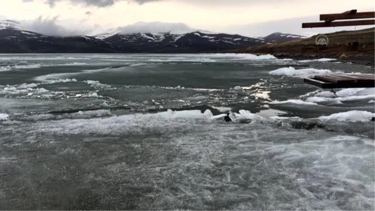 Son dakika haberleri: Çıldır Gölü\'nü kaplayan buz, bahar mevsimiyle erimeye başladı