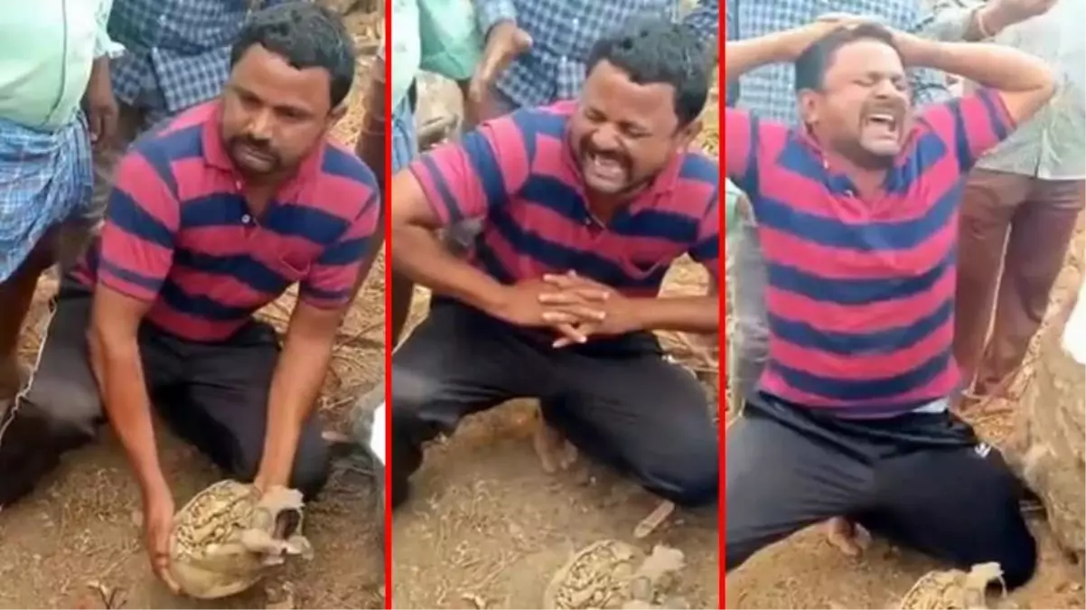 Ev inşaatı için yapılan kazıdan içi altın ve gümüş dolu çömlek çıktı