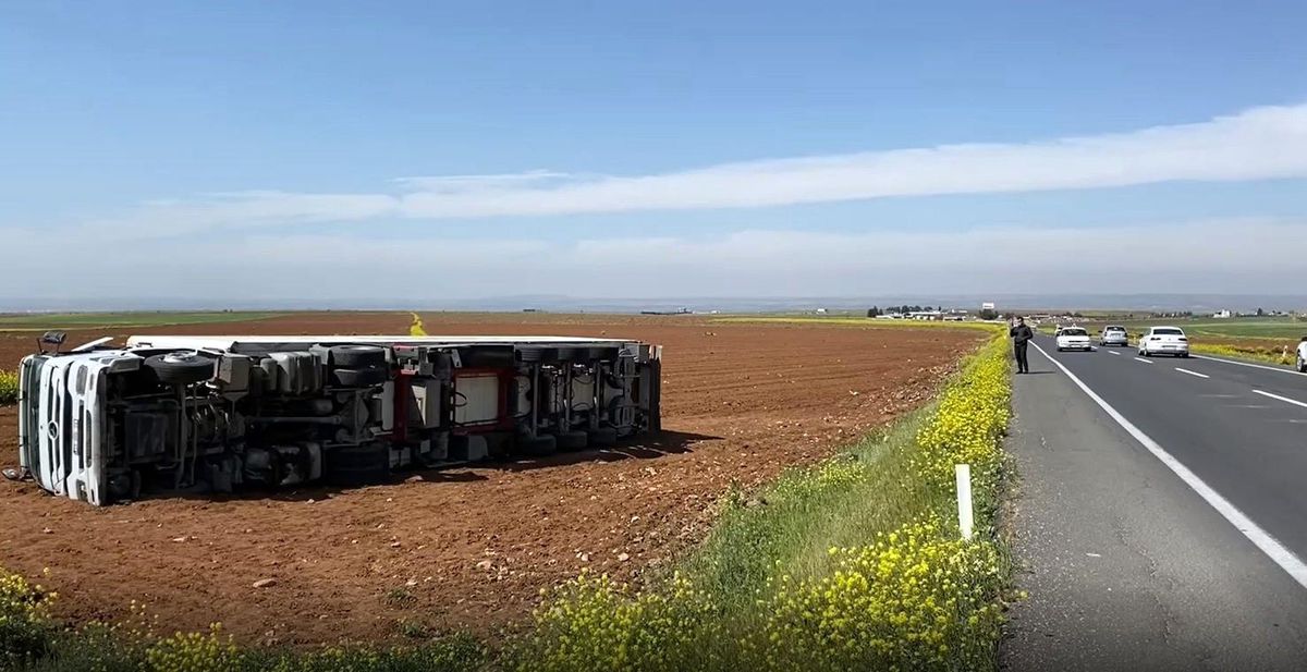 İran\'a giden tavuk yüklü tır devrildi: 2 yaralı