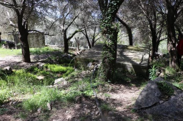 MUĞLA KELEBEKLER VADİSİ'NDE KAÇAK SU KULLANIMI DEVAM EDİYOR