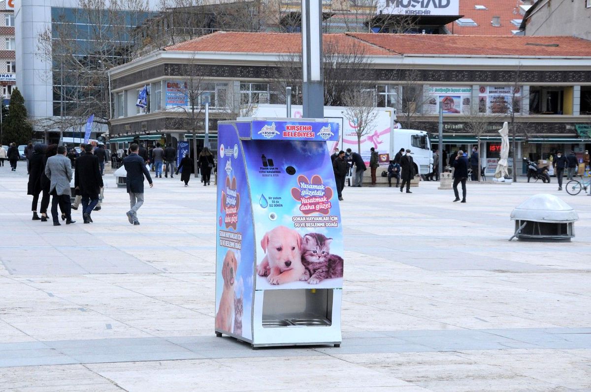 Kırşehir Belediyesi sokak hayvanları için \'mamamatik\' uygulama noktası oluşturdu
