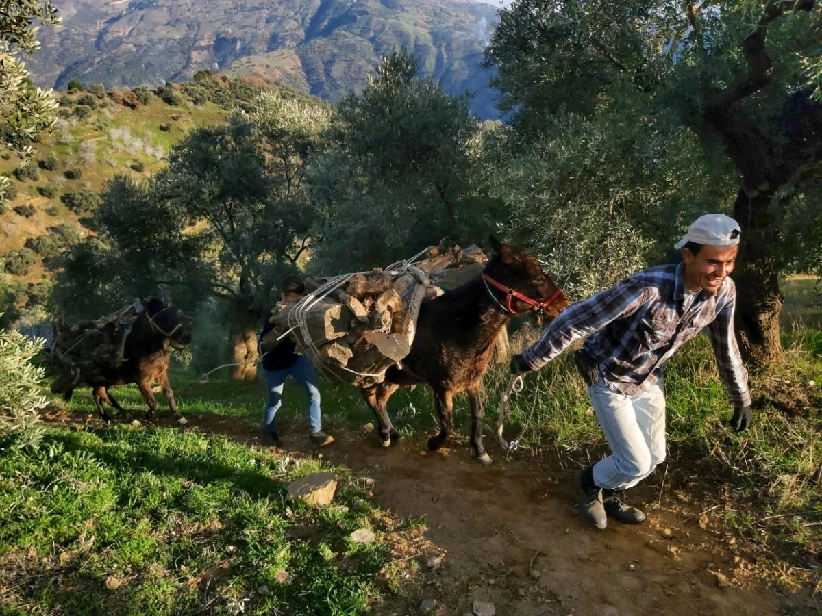 Kış yeniden geri gelince, vatandaşa yakacak telaşı sardı