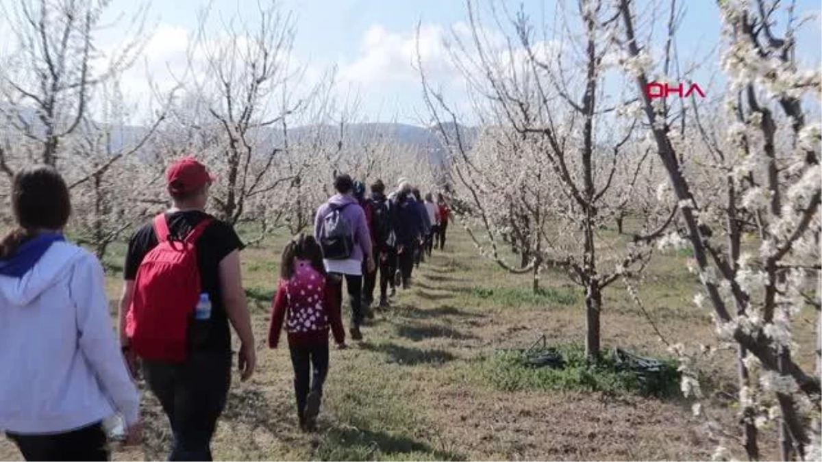 Son dakika gündem: TOROSLARIN SAKURA BAHÇELERİNDE GÖRSEL ŞÖLEN