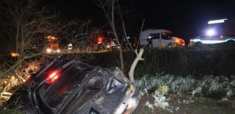 Son dakika haberleri! Yol kenarındaki ağaçlara çarpan kamyonetin sürücüsü öldü