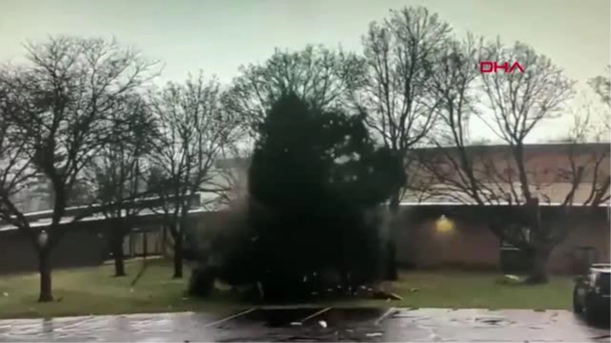 ABD\'de okul bahçesinde yıldırım düşen ağaç ikiye ayrıldı