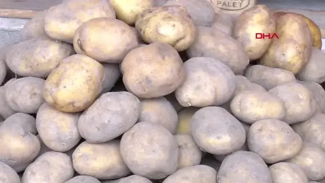 Son dakika haberleri! ADANA KABZIMALLAR ODASI'NDAN, TMO'NUN 'PATATES- SOĞAN' ALIM KARARINA DESTEK Son dakika haberleri! ADANA KABZIMALLAR ODASI'NDAN, TMO'NUN 'PATATES- SOĞAN' ALIM KARARINA DESTEK