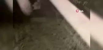 Karayipler'de La Soufriere Yanardağı 3'üncü kez patladıYerleşim bölgelerine kül yağdı