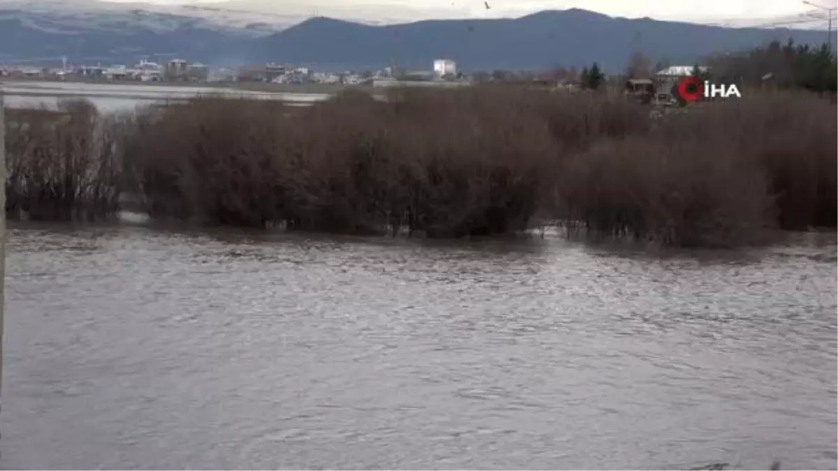 Kura nehri taştı, tarım arazileri sular altında kaldı