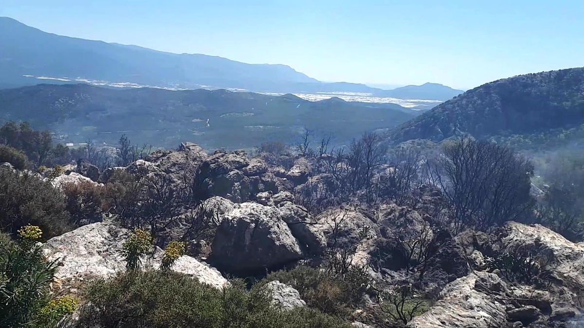 Son Dakika | Seydikemer\'de makilik alandaki yangın söndürüldü