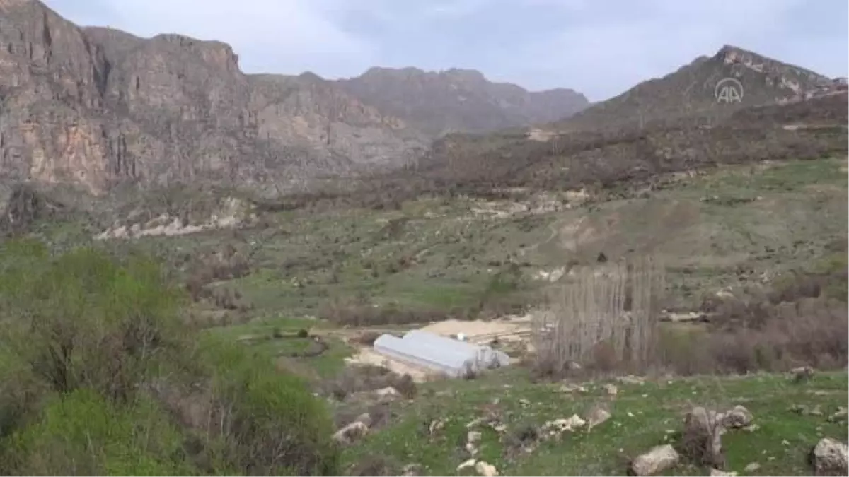 Tarımın gelişmesi için kurulan seralar çiftçilere esin kaynağı olacak