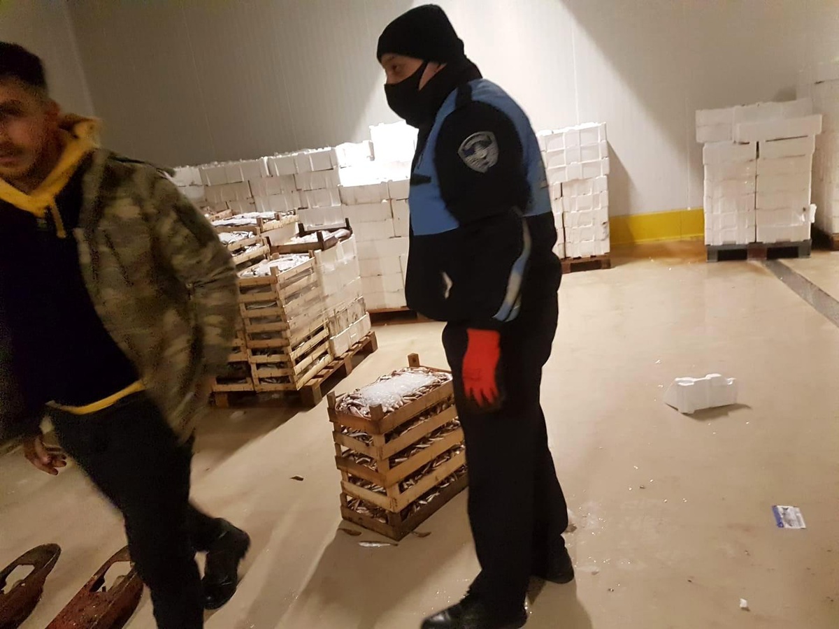 Balık halinde 8 adet camgöz köpekbalığına el konuldu