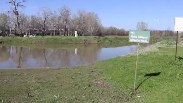 Geçen hafta sarı alarm verilen Tunca Nehri'nin debisi düşüşe geçti