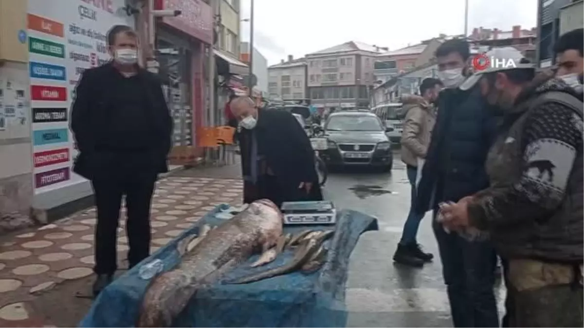 Kendi boyundan uzun balık yakaladı