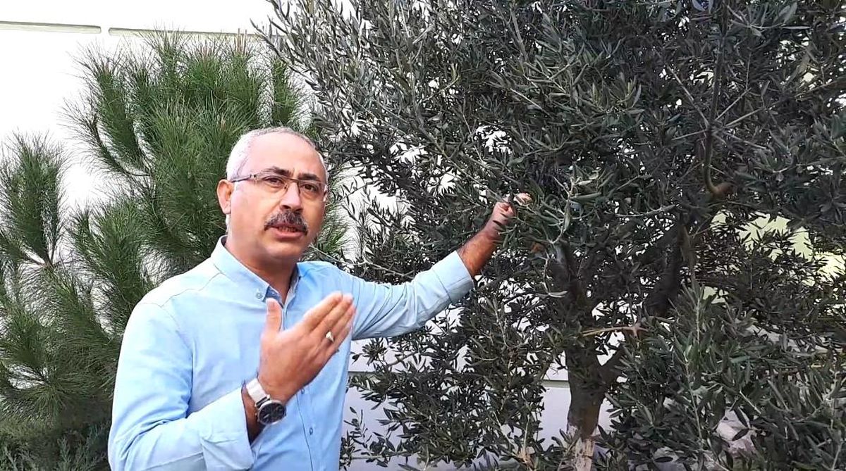 Prof. Satıl\'dan Covid ile mücadele yolları