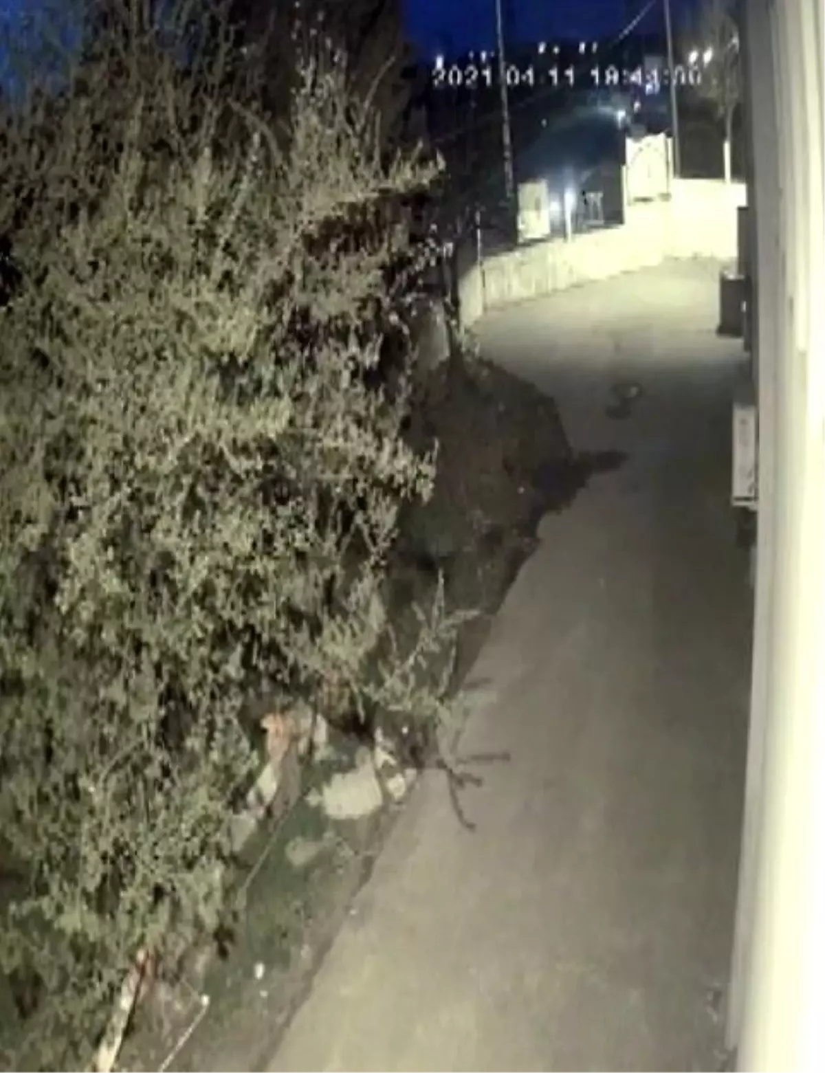 Süratli giden sürücü çarptığı duvarı parçaladı: 1\'i ağır 3 yaralı