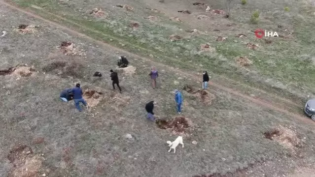 Yüzlerce fidanı toprakla buluşturmak için kilometrelerce yol kat ettiler