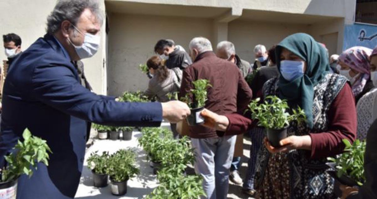 Bornova\'da hedef 100 bin fidan
