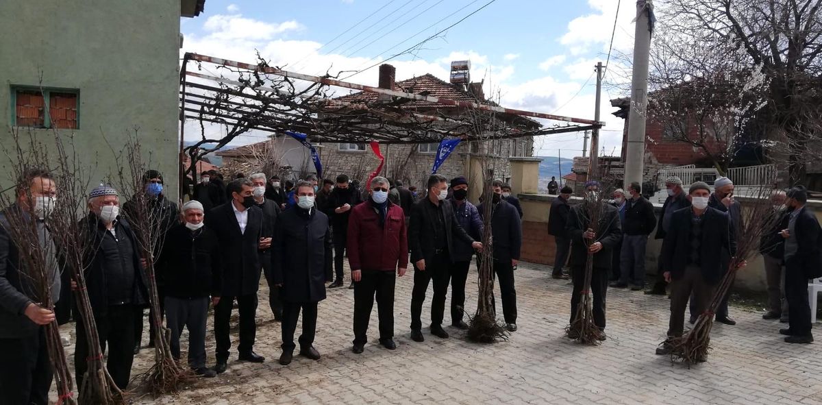 Orhaneli\'de çiftçilere 3 bin 600 adet yüksek verimli vişne fidanı dağıtıldı