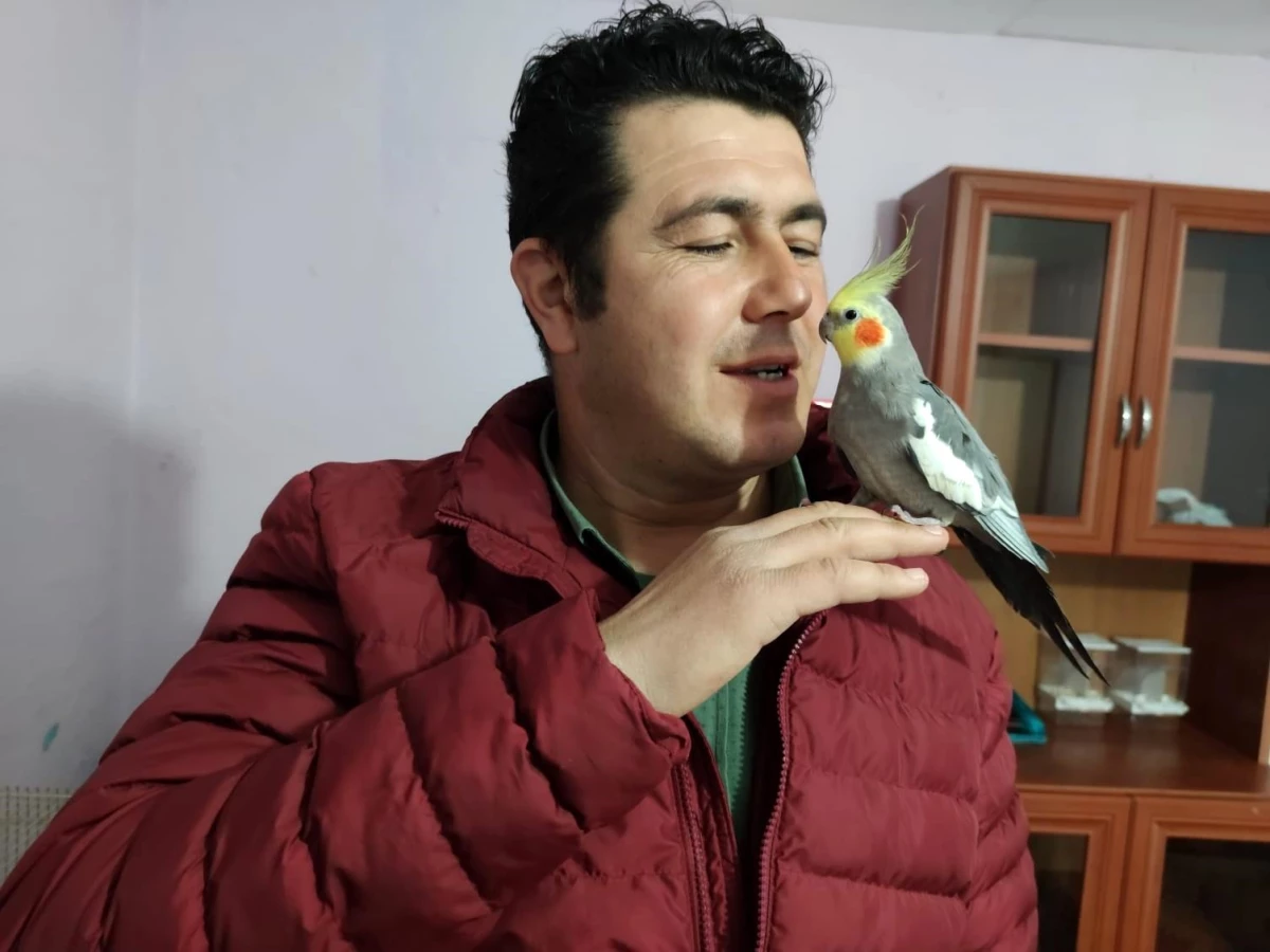 İlk sahibi uzman çavuş! Bu papağan her sabah ev halkını "Ölürüm Türkiye\'m" parçasıyla uyandırıyor