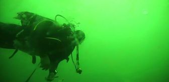 'Kesin korunacak hassas alan' ilan edilen Tavşan Adası, korunan ekosistemiyle bilim merkezi olacak