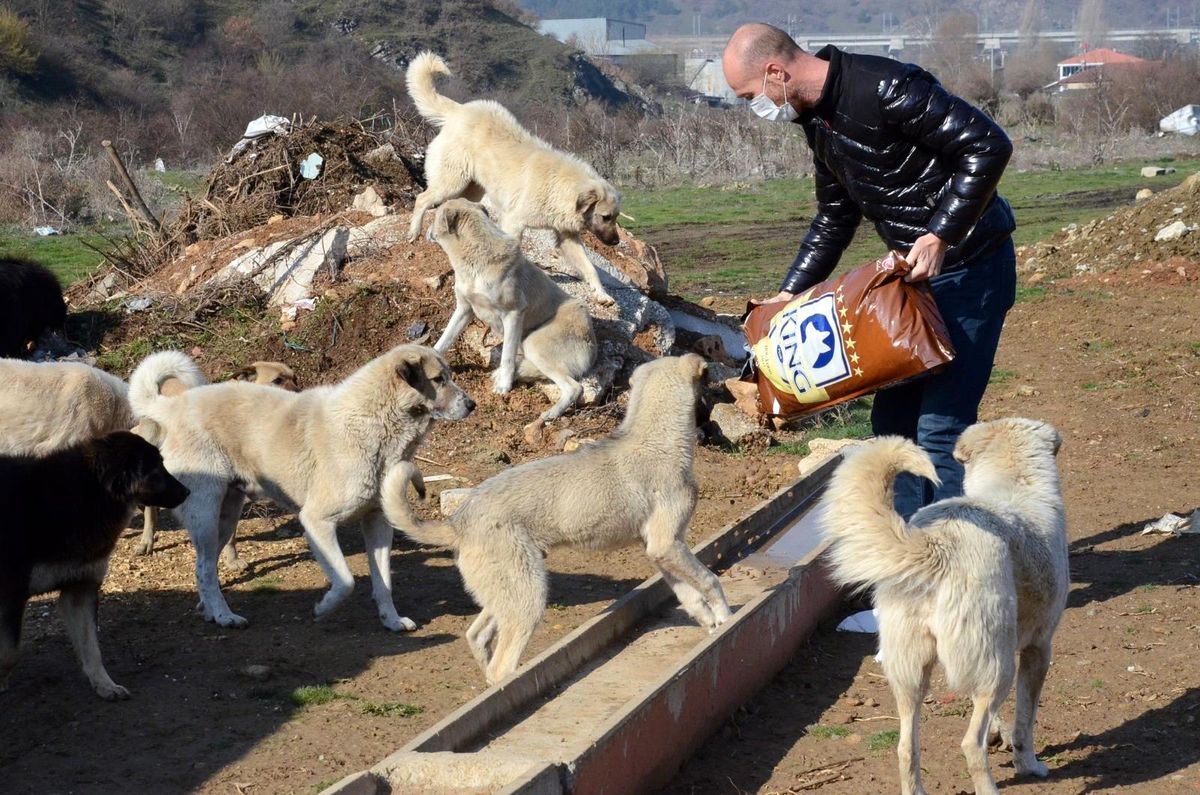Sokak hayvanları unutulmadı