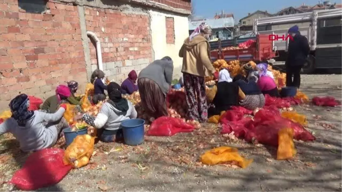 Sandıklı\'da patates ve soğan alımları başladı