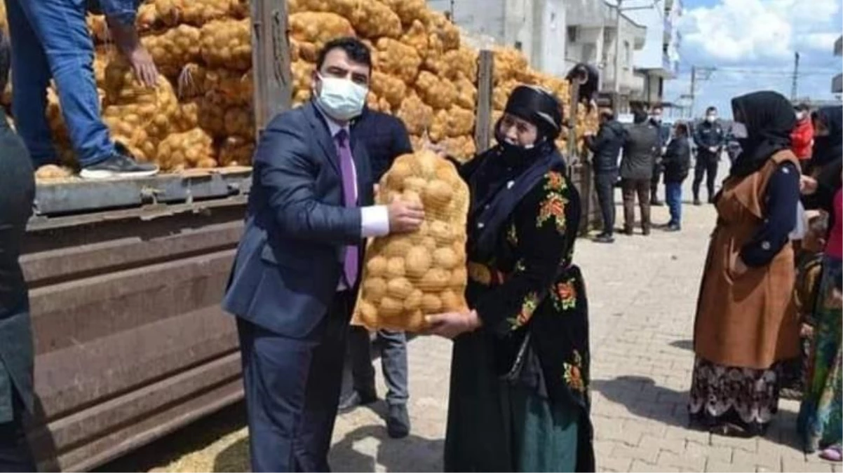 AK Partili Şamil Tayyar patates dağıtımını şova çeviren kaymakama ateş püskürdü: Hadsiz