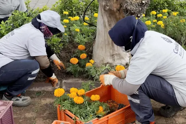 Baharın renkleri Başkentte açıyor