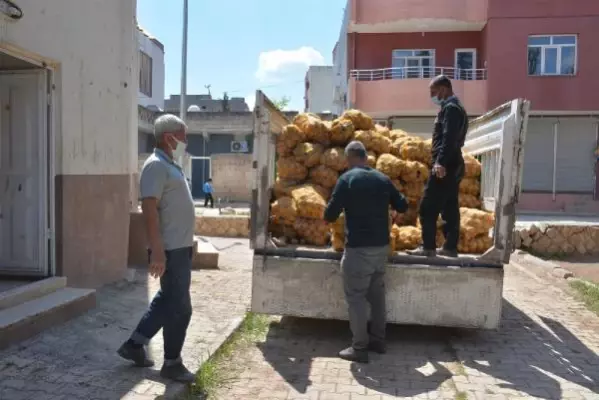 Mardin'de patates dağıtımına başlandı