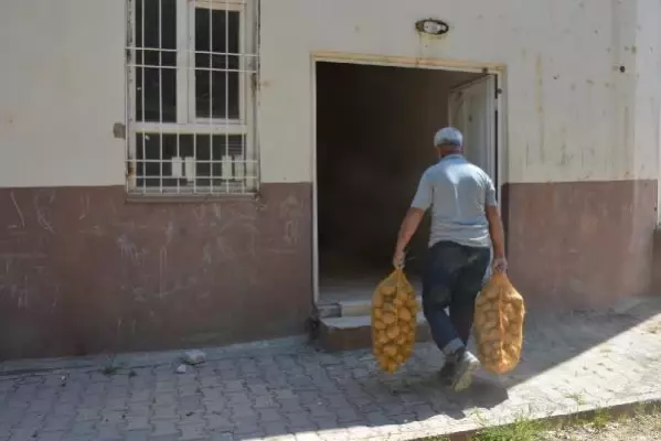 Mardin'de patates dağıtımına başlandı