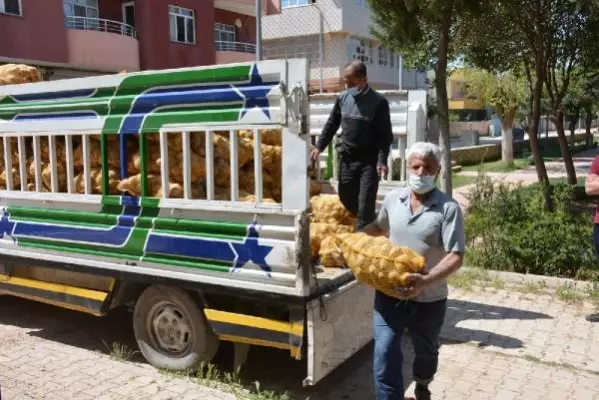 Mardin'de patates dağıtımına başlandı