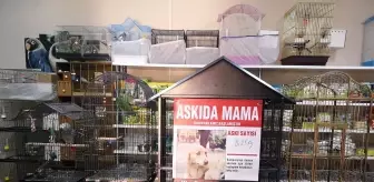 Sokak hayvanları için esnaftan 'askıda mama' projesi