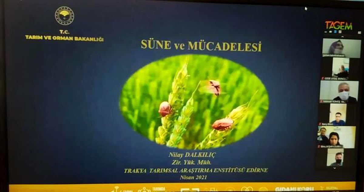 Süne mücadelesi eğitimi verildi