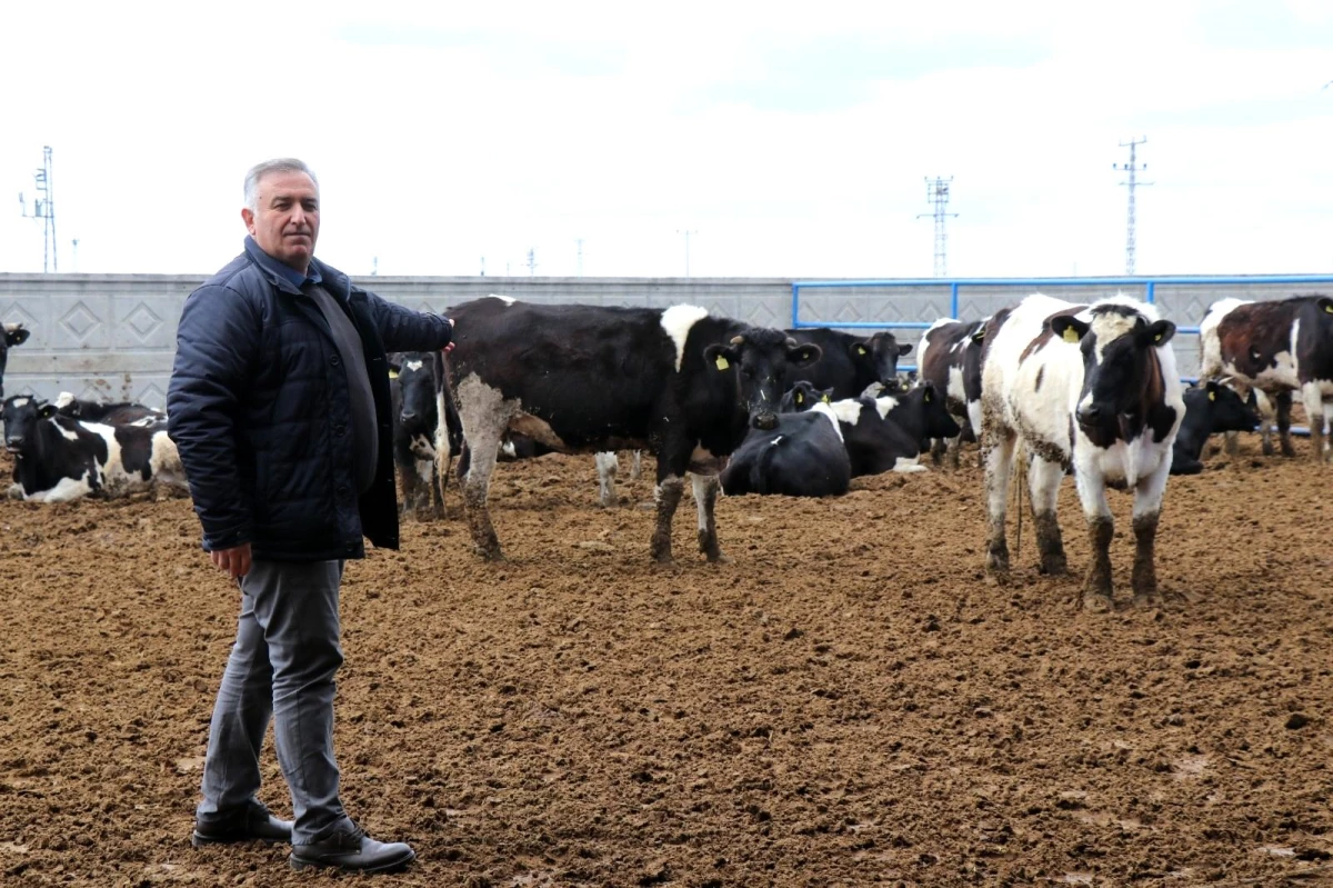 Yem fiyatlarına gelen zamlar üreticileri zora sokuyor