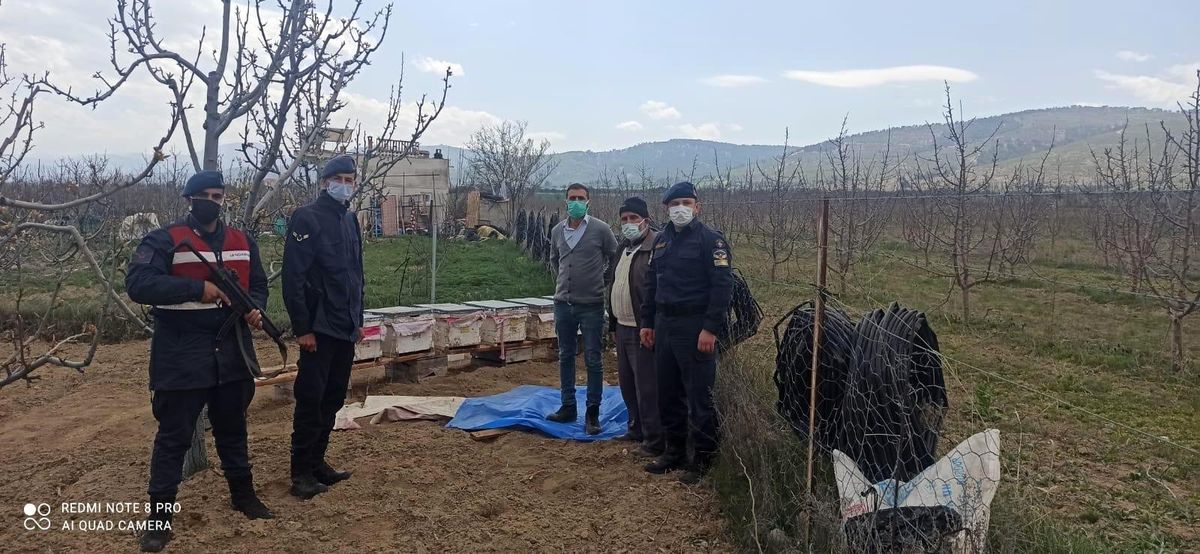 Arı kovanı hırsızı yakalandı