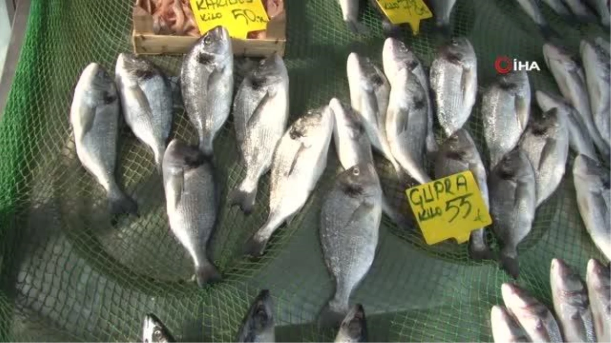 Balık satıcıları odası yönetim kurulu üyesi Balcı: " Her balıktan balıkçının yüzü güldü"