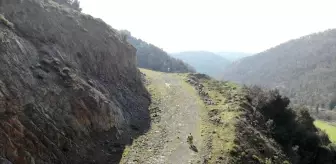 Base jump dünya rekortmeni Kuzey Marmara Otoyolu'ndan paraşütle atladı