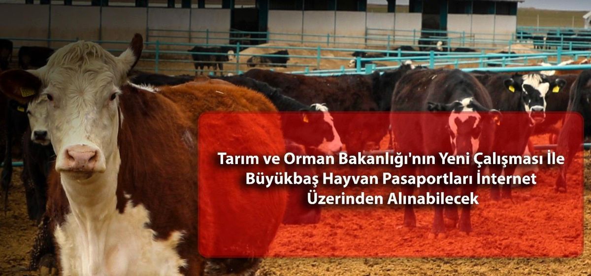 Besicilere dijital ortamda hayvan pasaportu alma fırsatı