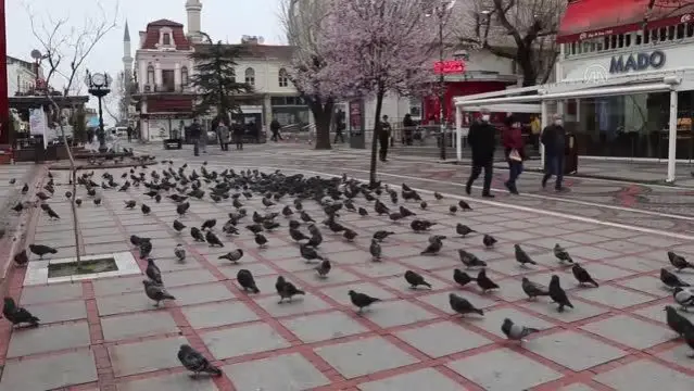 Edirne Valiliği koronavirüsle mücadelede ev hanımlarından destek istedi