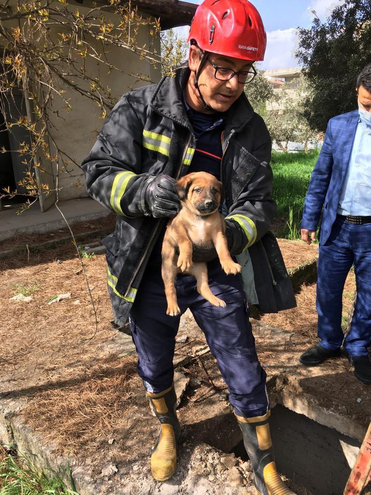 İtfaiye ekipleri, can dostlarının imdadına yetişti