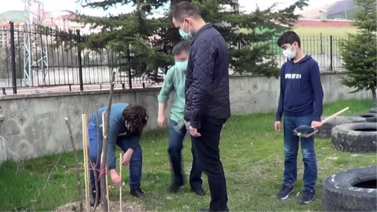 Kızılcahamam\'daki Perihan Erdoğan Ortaokulu bahçesine şehitler anısına meyve ağacı fidanı dikildi