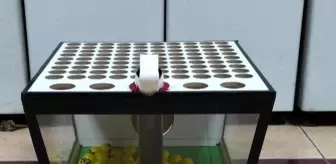 Konya'da kısıtlamada kumar oynatılan iş yerine baskın