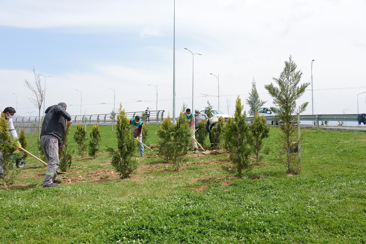 Malatya genelinde fidan dikimi, çimlendirme yoğun bir şekilde sürdürüyor