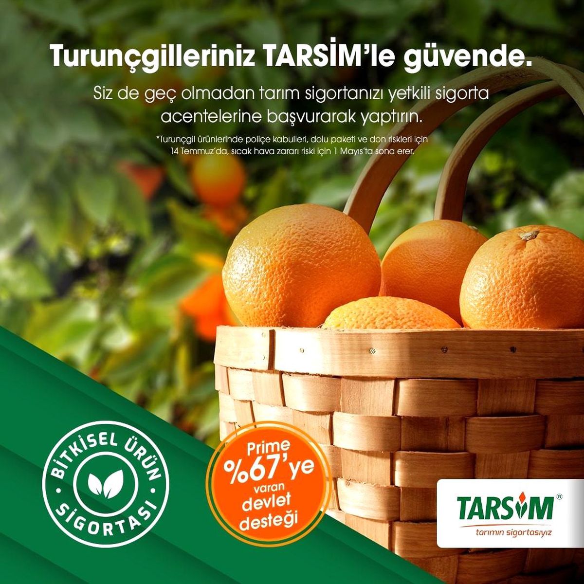 TARSİM: "Turunçgilleriniz güvende"