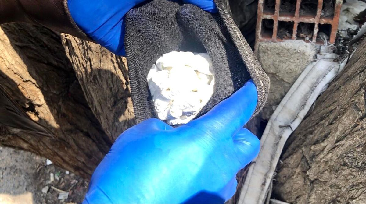 Tekirdağ\'da uyuşturucu operasyonu: 4 gözaltı