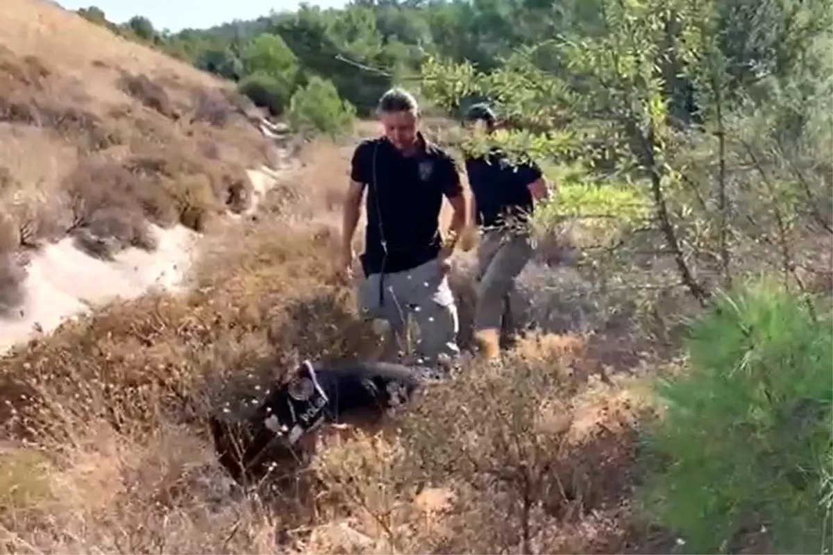 15 yıl sonra ortaya çıkan korkunç cinayete zorla katılmış