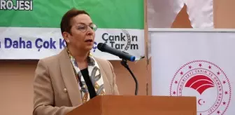 Son dakika haber... Bakan Yardımcısı Işıkgece, '126 milyonluk üretimle tarımda en yüksek sınıra geldik'